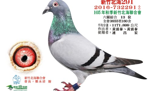 海马补肾丸功效和作用说明书-海马补肾丸是壮阳药吗、海马补肾丸是壮阳药吗 -海马补肾主治网